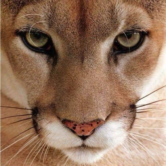 ClosetCleanOutPrices - Picture 3 of 9